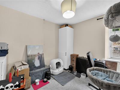 Picture 13
